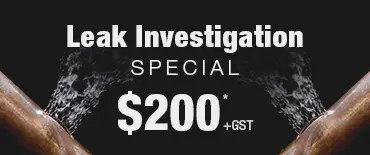 Leak Investigation Discount Randwick Park